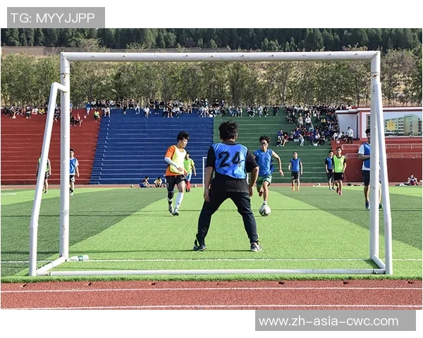 巴西足球的辉煌历程与未来发展展望:激情与梦想的交织 巴西足球的辉煌历程与未来发展展望:激情与梦想的交织